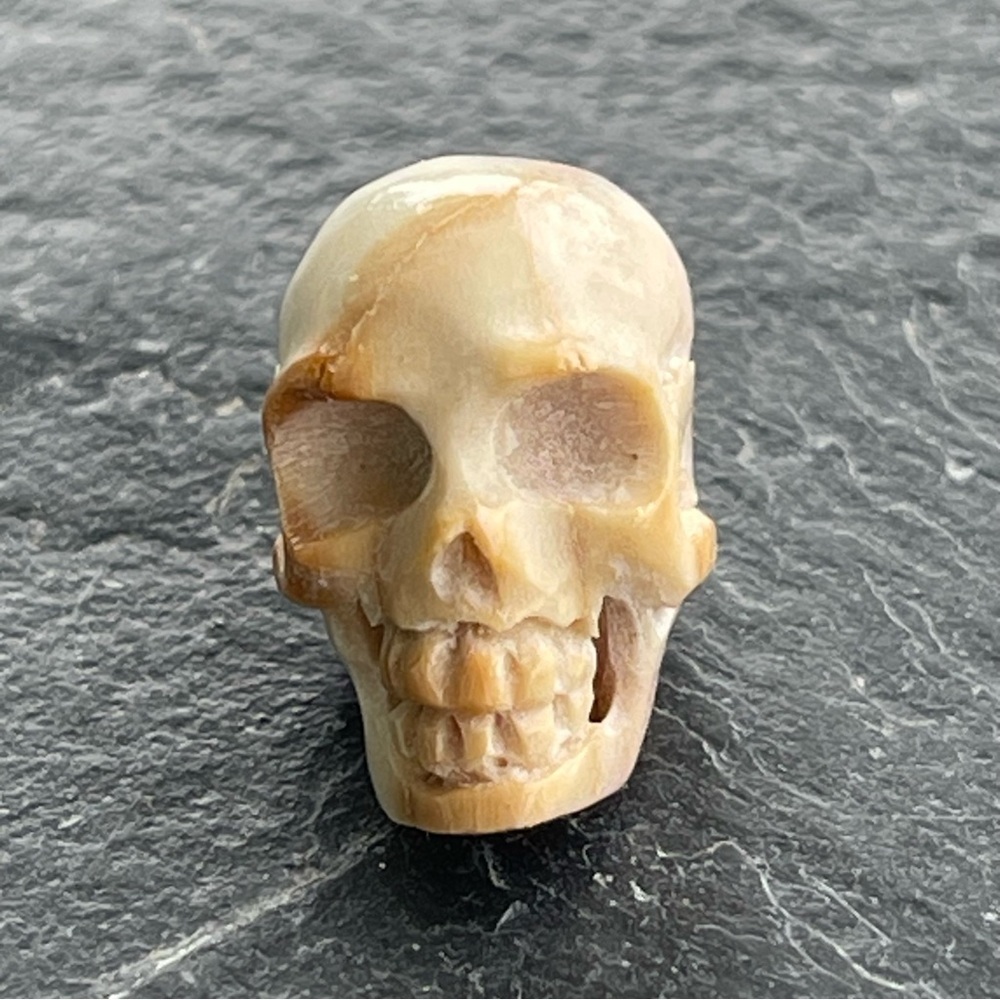 Carved bone Skull 💀 Figurine